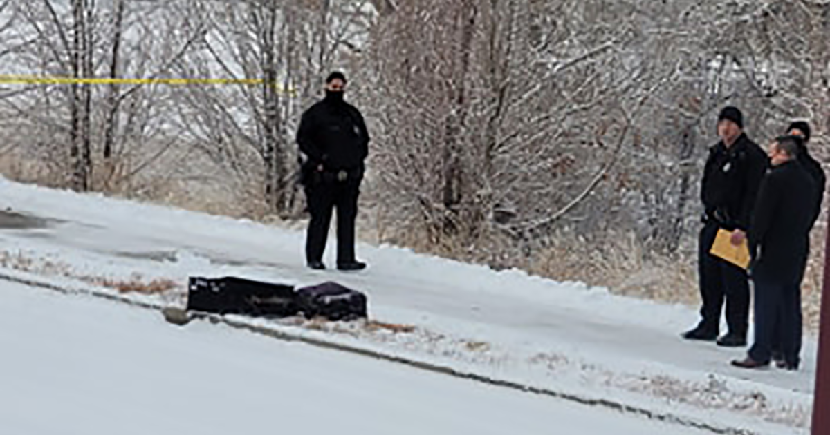 An investigation is underway after the remains of a man were found in suitcases near a driveway in Denver
